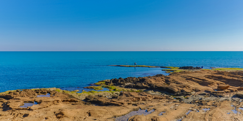 News update on the market