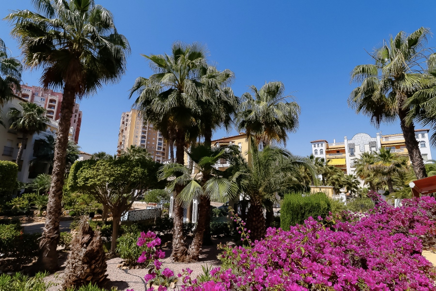 Resale - Lägenhet / Bungalow  - Torrevieja  - Aldea del Mar