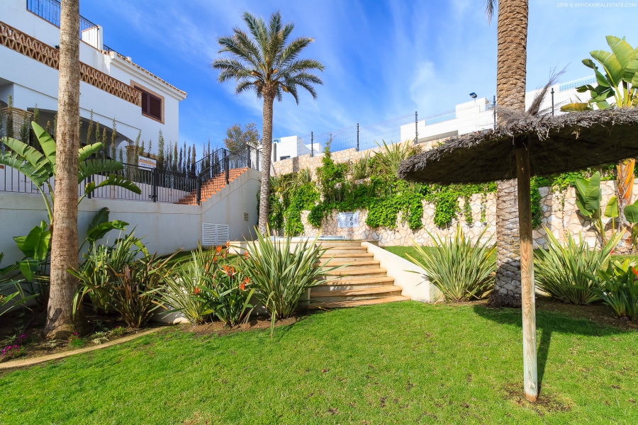 Resale - Apartment/Bungalow - Torrevieja  - Azul Beach