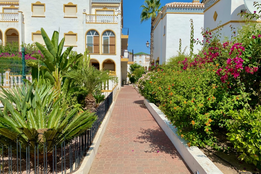 Bruktboliger - Leilighet/Bungalow - Torrevieja  - Molino Blanco