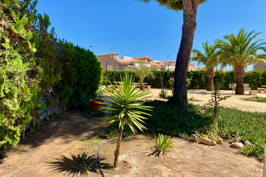 Resale - Lägenhet / Bungalow  - Torrevieja  - Aguas Nuevas