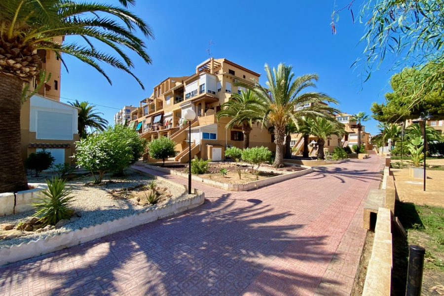 Resale - Lägenhet / Bungalow  - Torrevieja  - Aguas Nuevas