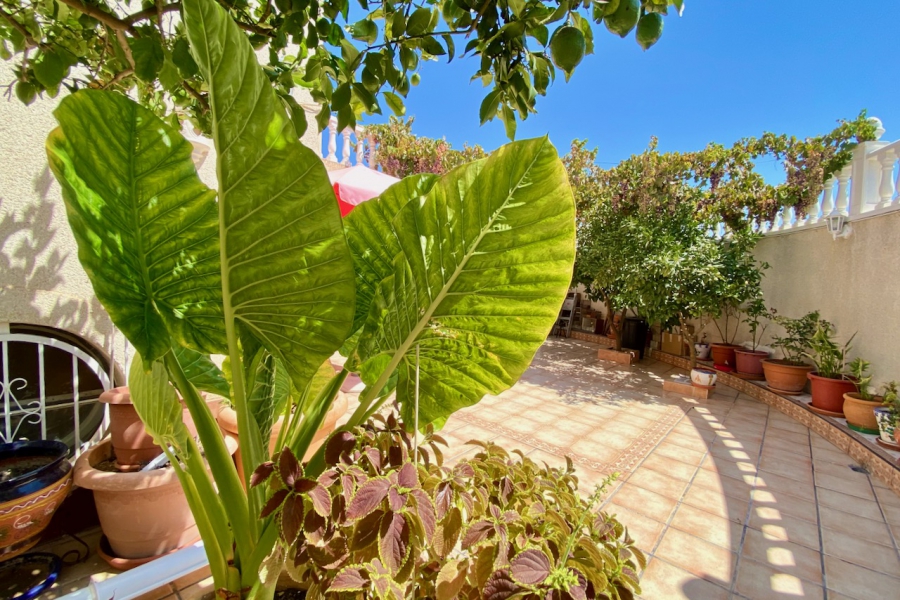Resale - Duplex / Adosado - Orihuela Costa - Los Altos 