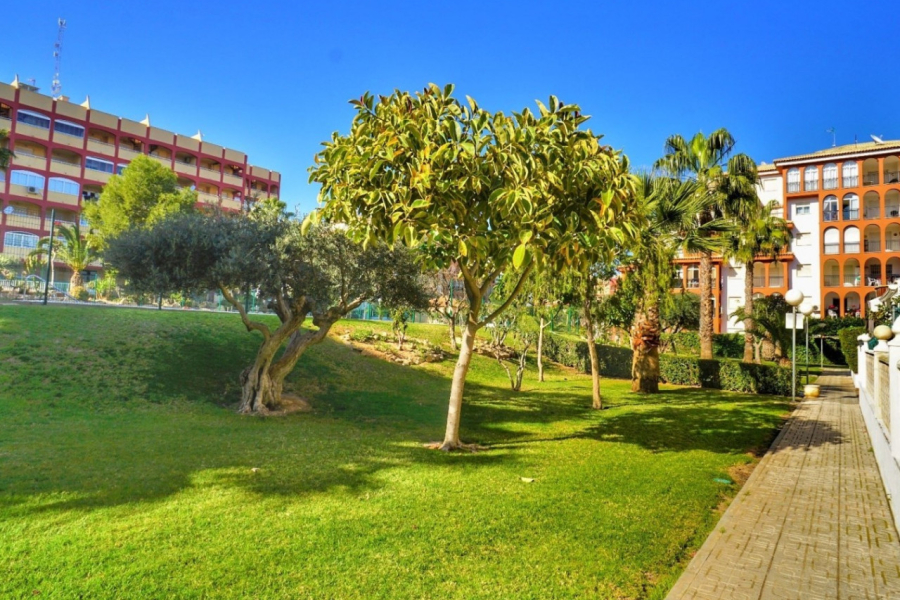 Resale - Apartment/Bungalow - Torrevieja  - Aguas Nuevas