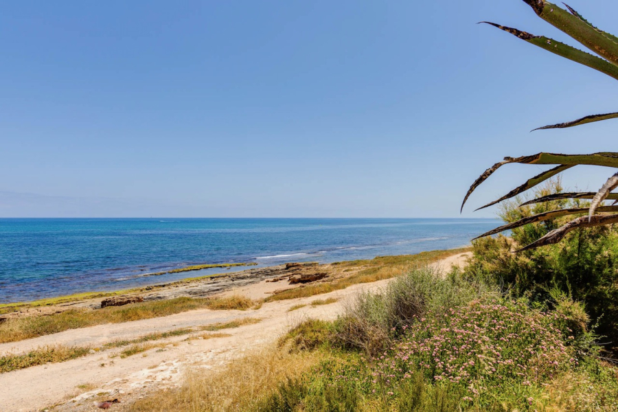 Resale - Lägenhet / Bungalow  - Torrevieja  - La Veleta