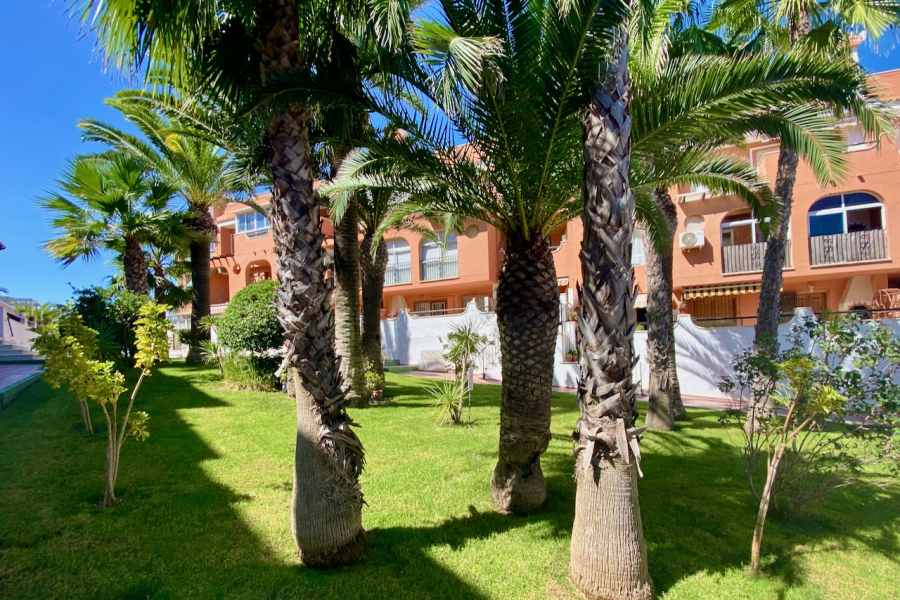 Resale - Apartamento/Bungalow - Torrevieja  - La Mata