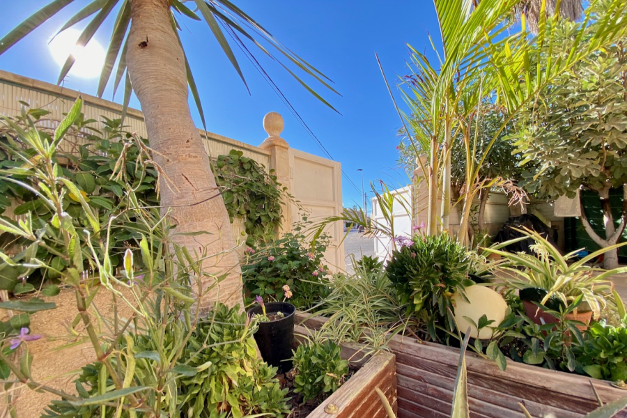 Resale - Villa / Semi detached - Torrevieja  - La Rosaleda - Los Frutales