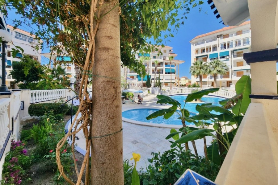 Bruktboliger - Leilighet/Bungalow - Torrevieja  - La Mata