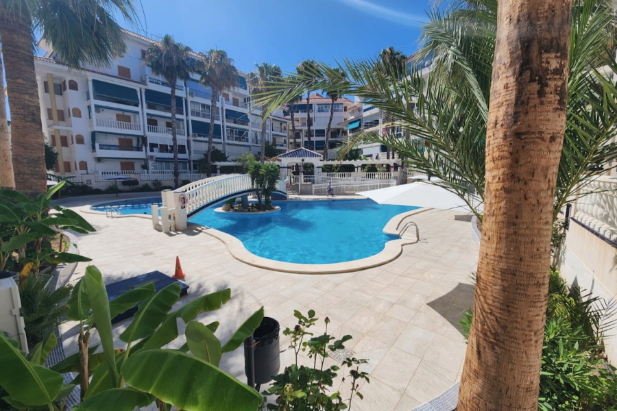 Bruktboliger - Leilighet/Bungalow - Torrevieja  - La Mata