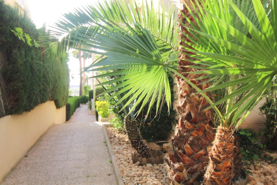Resale - Lägenhet / Bungalow  - Torrevieja  - La Veleta