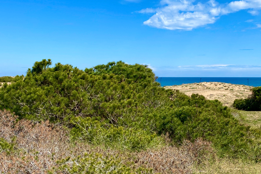 Resale - Townhouse / Duplex - Torrevieja  - La Mata