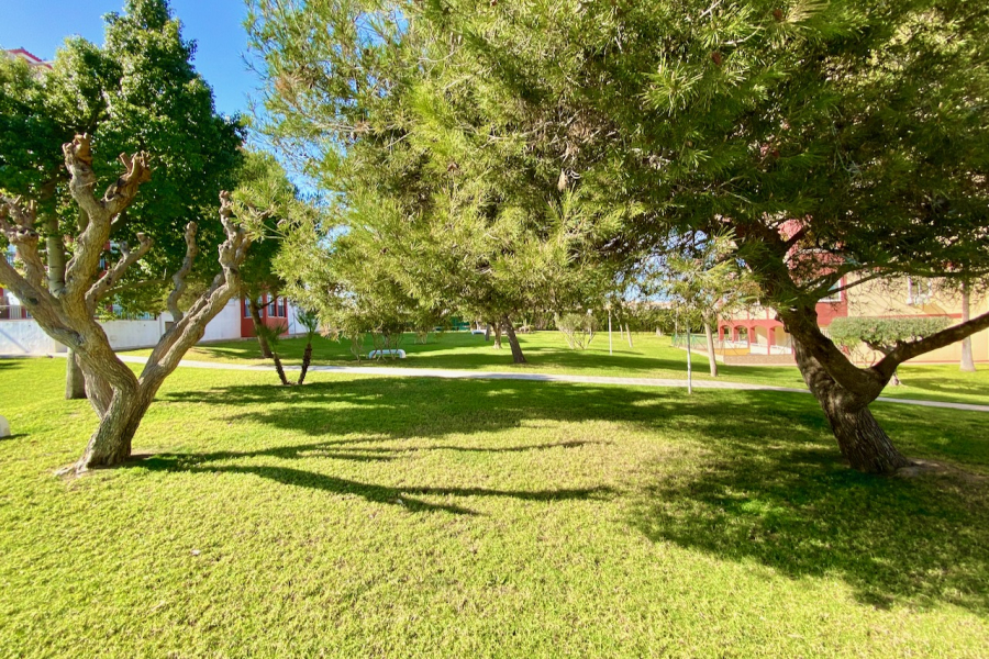 Resale - Apartamento/Bungalow - Torrevieja  - La Mata