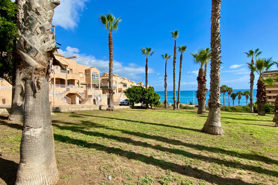 Resale - Duplex / Adosado - Torrevieja  - La Mata