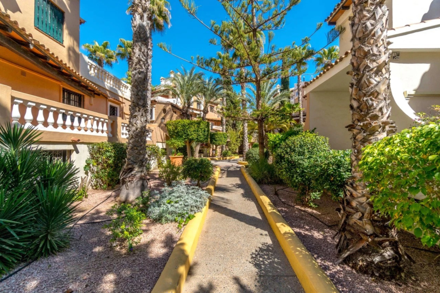 Resale - Apartamento/Bungalow - Torrevieja  - La Rosaleda - Los Frutales