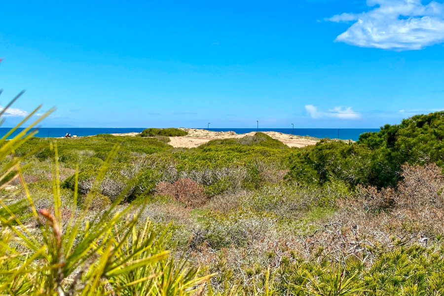 Resale - Lägenhet / Bungalow  - Torrevieja  - Torreblanca