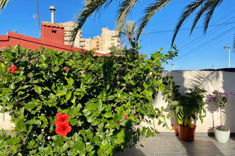 Resale - Villa / Semi detached - Torrevieja  - La Mata