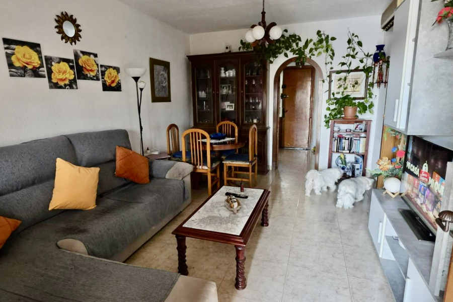 Bruktboliger - Rekkehus / Duplex - Torrevieja  - Calas Blancas