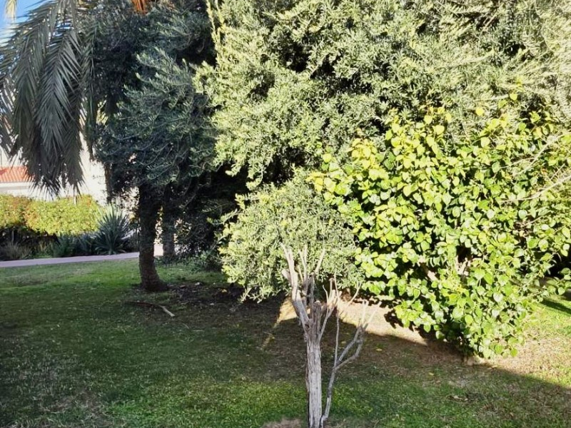 Bruktboliger - Rekkehus / Duplex - Torrevieja  - Calas Blancas