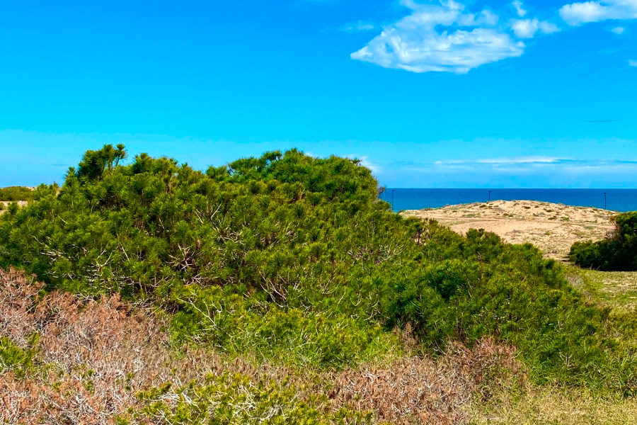 Resale - Radhus / Duplex - Torrevieja  - Molino Blanco