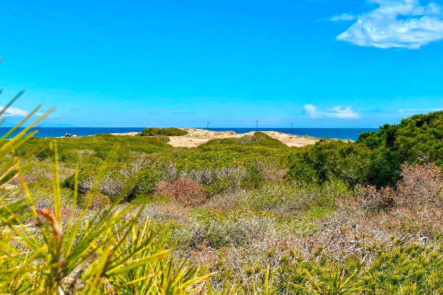 Resale - Radhus / Duplex - Torrevieja  - Molino Blanco