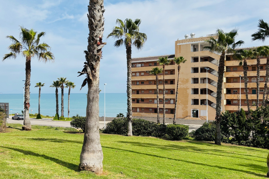 Z drugiej ręki - Apartament/Bungalow - Torrevieja  - Cabo Cervera