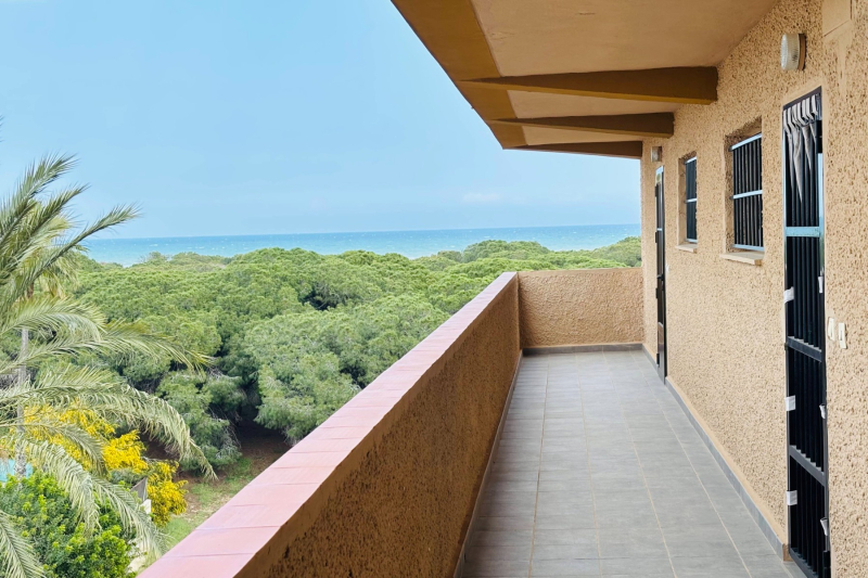 Apartment/Bungalow - Resale - Guardamar del Segura - Pinomar