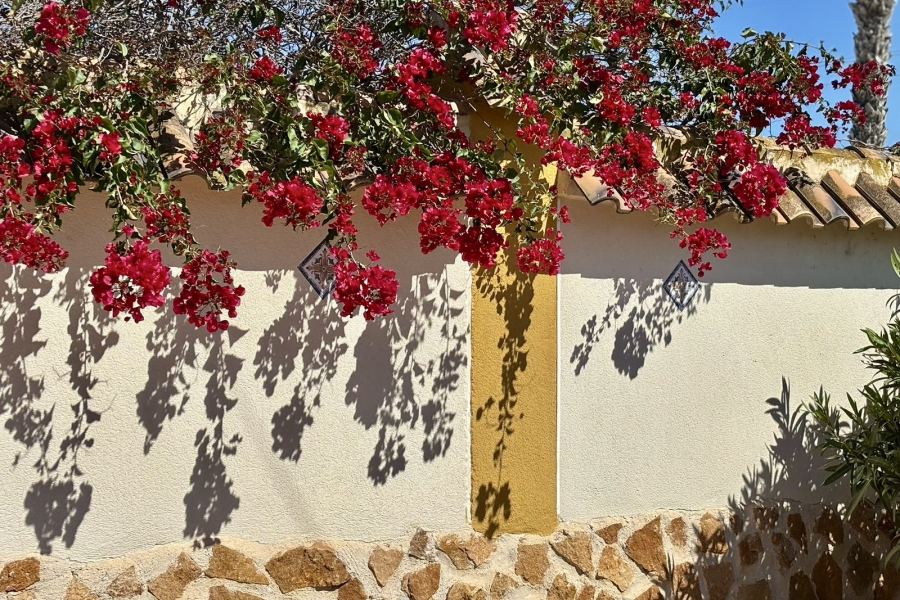 Z drugiej ręki - Willa  - Catral