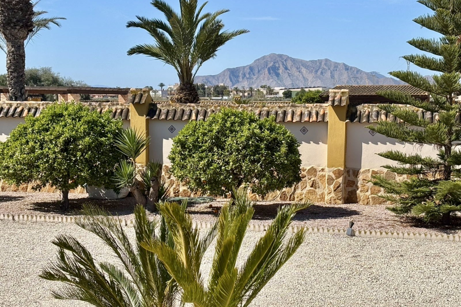 Z drugiej ręki - Willa  - Catral