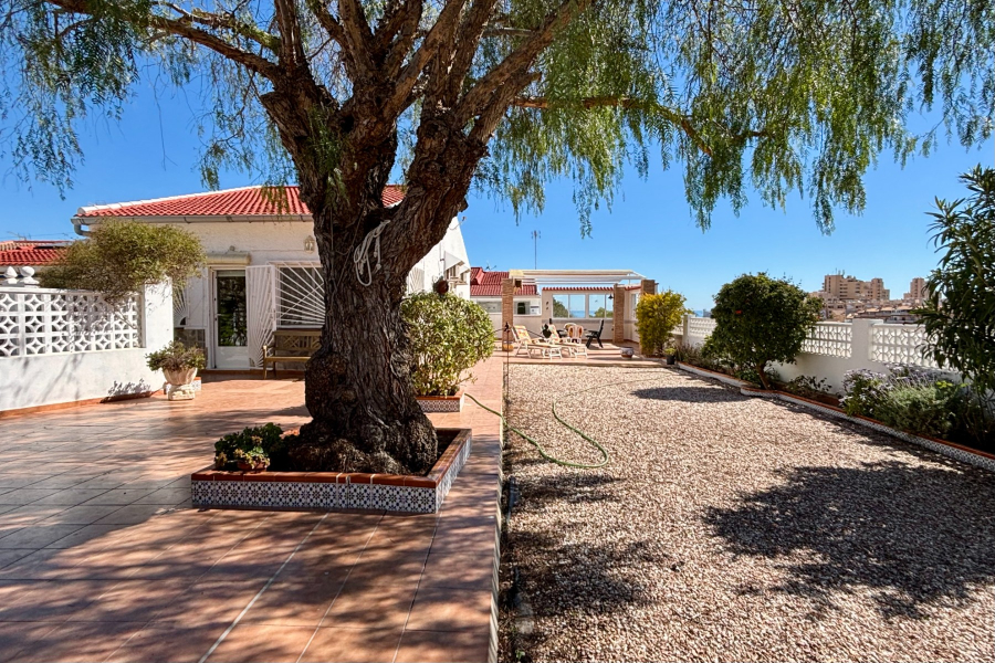 Z drugiej ręki - Apartament/Bungalow - Torrevieja  - Torreblanca