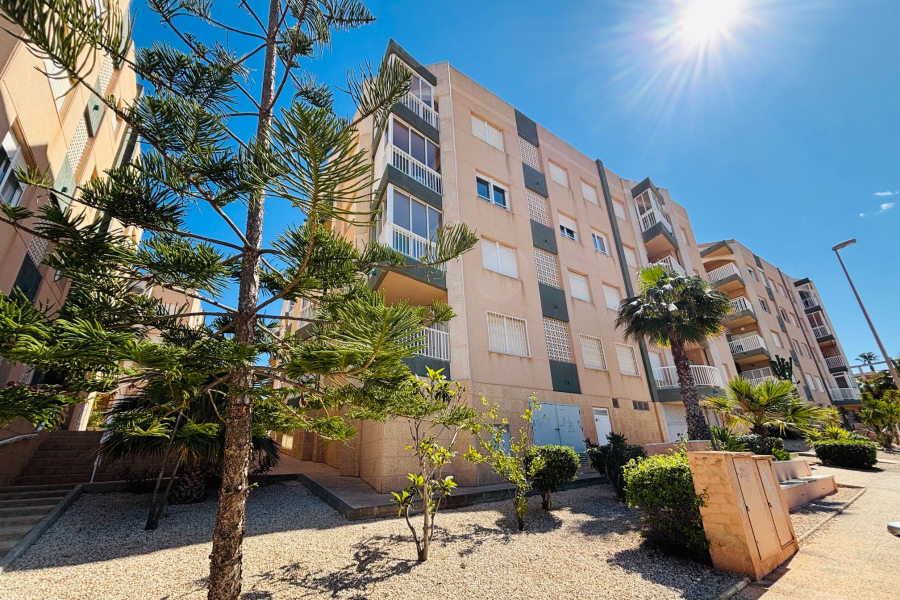 Z drugiej ręki - Apartament/Bungalow - Torrevieja  - La Mata
