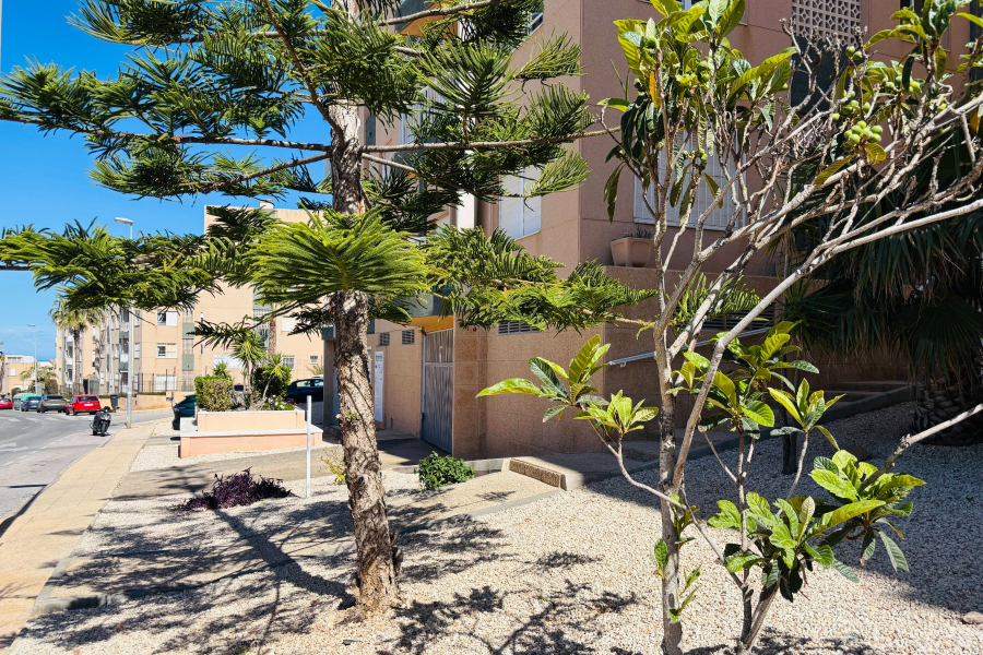 Z drugiej ręki - Apartament/Bungalow - Torrevieja  - La Mata