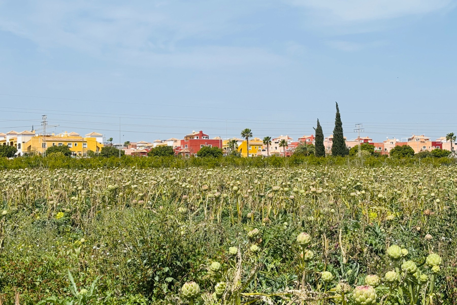 Resale - Radhus / Duplex - Los Montesinos - La Herrada