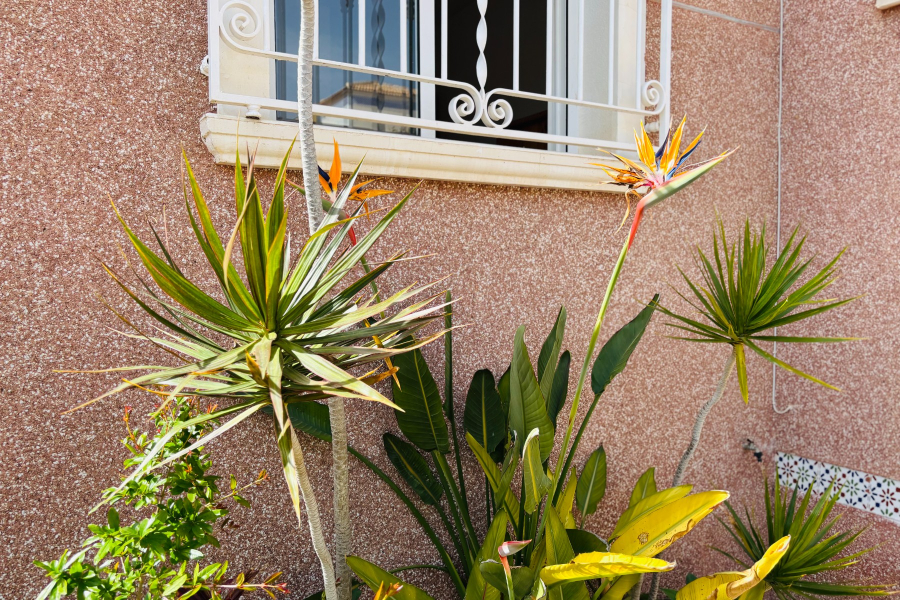 Resale - Radhus / Duplex - Los Montesinos - La Herrada