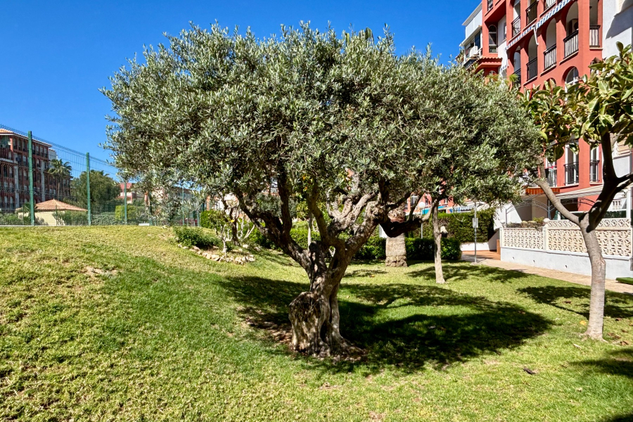 Resale - Apartamento/Bungalow - Torrevieja  - Aguas Nuevas