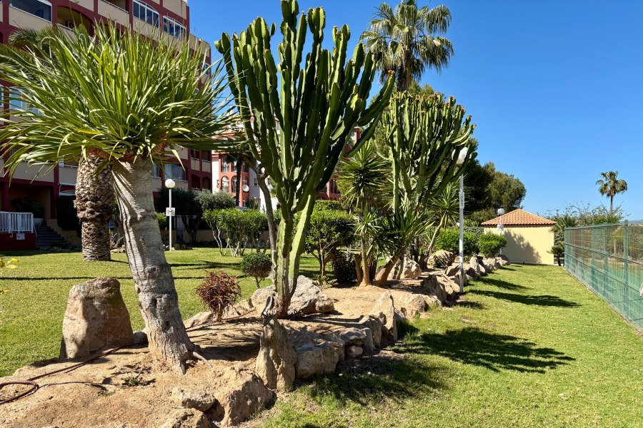 Resale - Apartamento/Bungalow - Torrevieja  - Aguas Nuevas