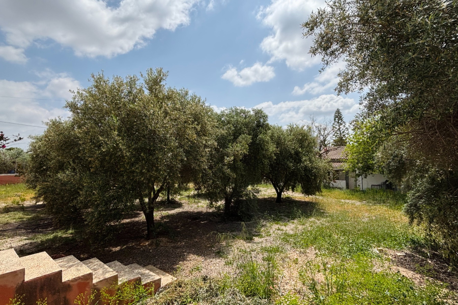 Resale - Villa / Semi detached - Albatera