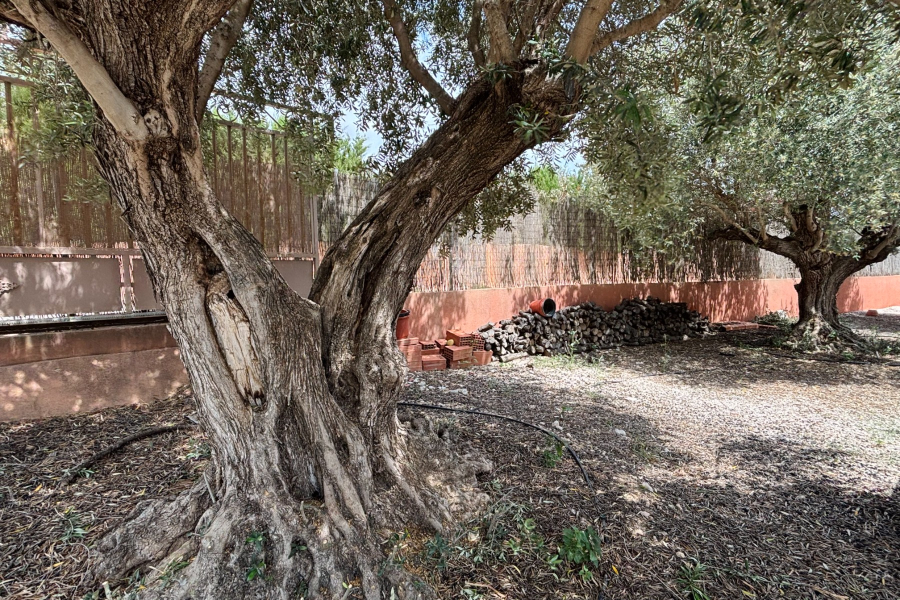Resale - Villa / Semi detached - Albatera