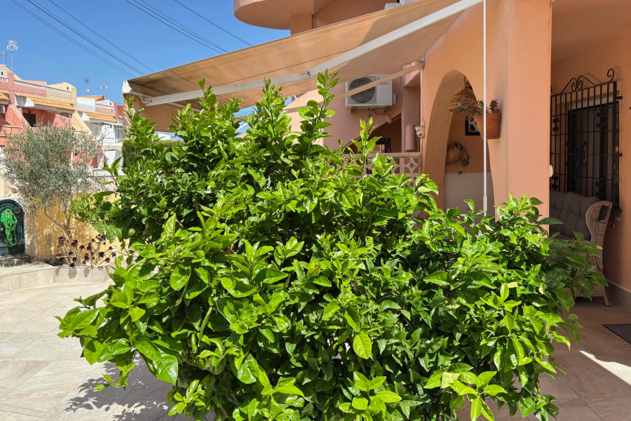 Resale - Apartamento/Bungalow - Torrevieja  - La Rosaleda - Los Frutales