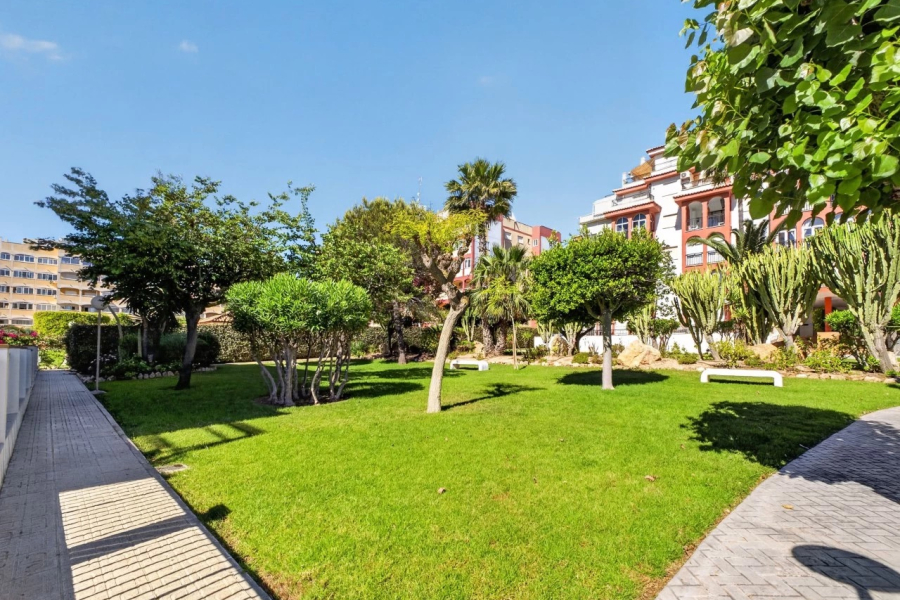 Resale - Lägenhet / Bungalow  - Torrevieja  - Aguas Nuevas