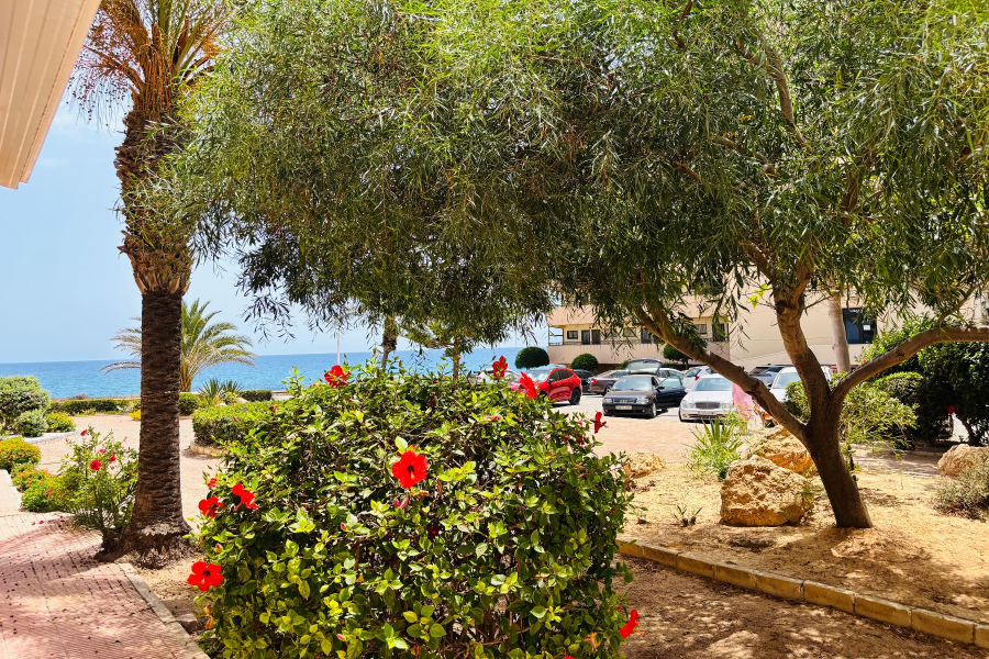 Вторичный рынок - Квартира/Бунгало - Torrevieja  - Cabo Cervera