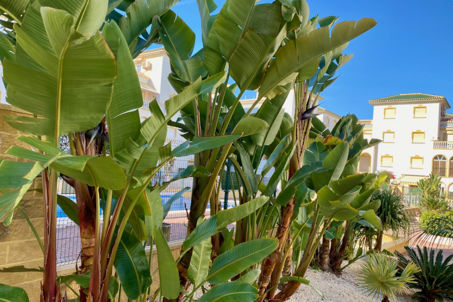 Resale - Apartment/Bungalow - Torrevieja  - Molino Blanco