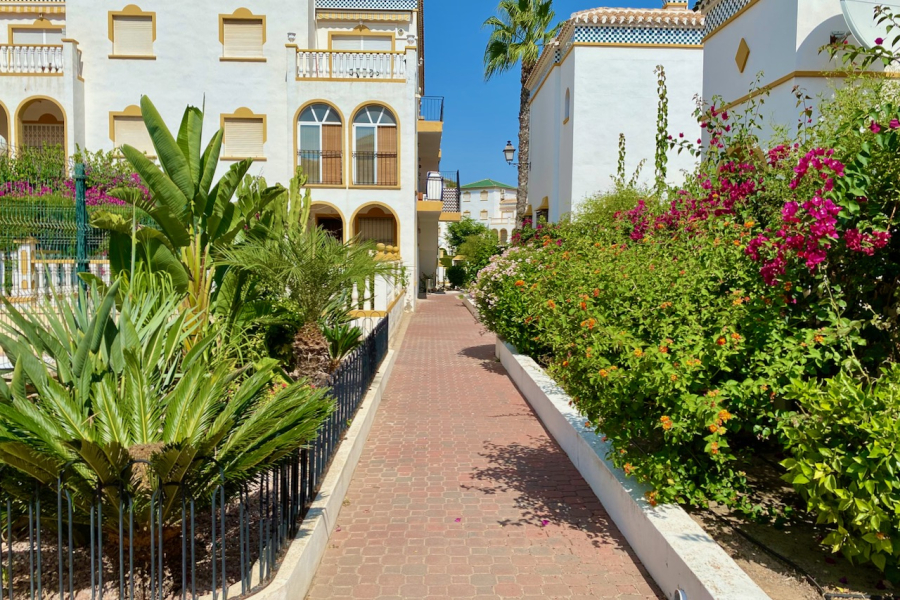 Bruktboliger - Leilighet/Bungalow - Torrevieja  - Molino Blanco