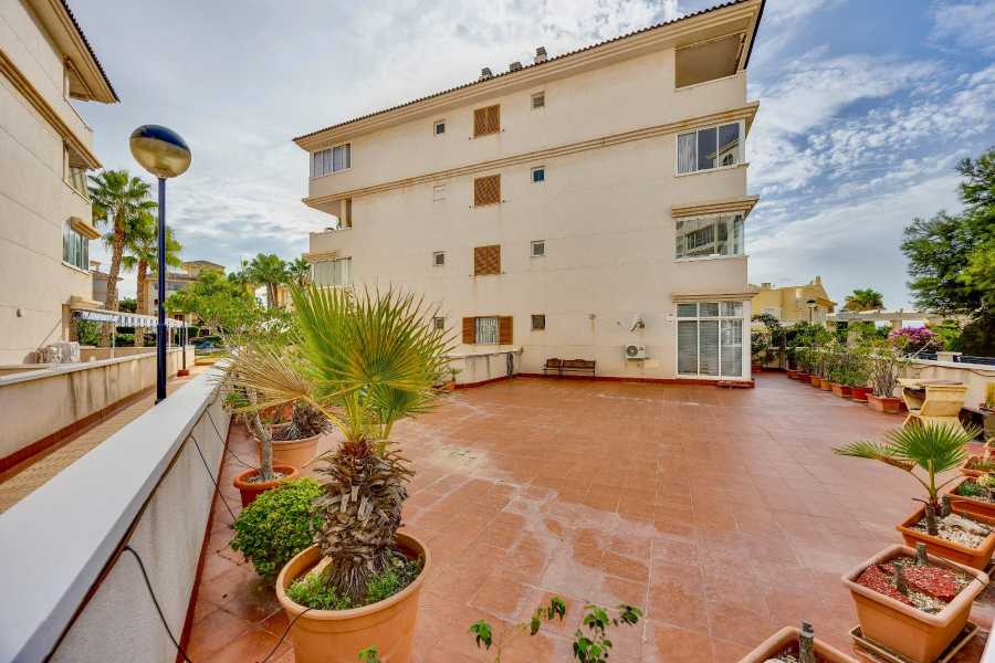Pārdošana pēc lietošanas - Dzīvoklis/Bungalo - Torrevieja  - La Mata