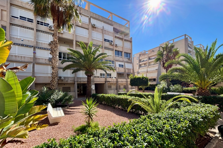 Вторичный рынок - Квартира/Бунгало - Torrevieja  - La Mata