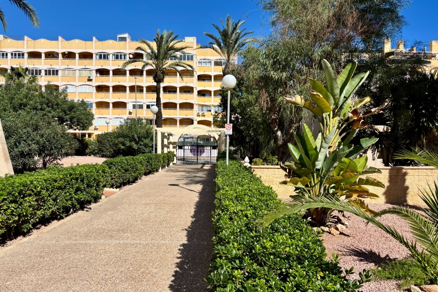 Вторичный рынок - Квартира/Бунгало - Torrevieja  - La Mata